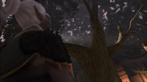Dragon Age: Начало - Andaran atish’an! Или учимся говорить по-эльфийски.