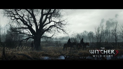 The Witcher 3: Wild Hunt - Гейм-директор игры о поддержке Sony и Microsoft