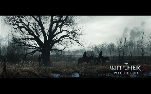 The Witcher 3: Wild Hunt - Гейм-директор игры о поддержке Sony и Microsoft